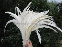 wholesale 100pcs/lot natural Beige Beautiful Rooster feathers 35-40cm 14-16Inch 2024 - buy cheap