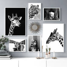 Leopard Giraffe Cat Bear Cow Animal Seal Wall Art Canvas Painting For Living Room Decor Nordic Posters And Prints Wall Pictures 2024 - buy cheap