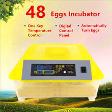Fully Automatic 48 Chicken Egg Incubator Hatching Machine Temperature Control Duck Quail Hatchery Machine 2024 - buy cheap
