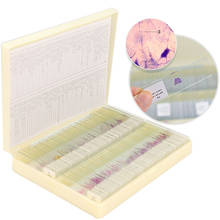 100 Uds. De secciones de tejido humano en rodajas, histología, microscopio preparado para muestras, diapositivas con caja de plástico 2024 - compra barato