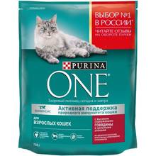 Сухой корм Purina ONE для взрослых кошек с говядиной и пшеницей, Пакет, 750 г 2024 - купить недорого