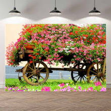 Thin Vinyl Garden Spring Grass Bicycle Carriage Baby Portrait Photography Backdrop Photo Studio Kids Birthday Background 2024 - buy cheap