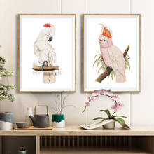 Pintura de arte de parede da sala de estar, pôster vintage de pássaros rosa, aquarela, salmão, crescida, calopsita, pintura de tela 2024 - compre barato