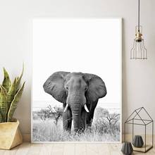 Póster de elefante blanco y negro para decoración de dormitorio, fotografía de animales modernos, arte de pared, lienzo impreso, de elefantes 2024 - compra barato