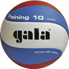 Мяч волейбольный Gala Training 10 (BV5561S), размер 5, цвет бело-голубо-красный 2024 - купить недорого