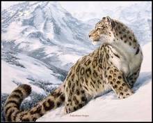 Leopardo na neve-contagem kits de ponto cruz-diy costura artesanal para bordados 14 ct conjuntos de ponto cruz dmc cor 2024 - compre barato