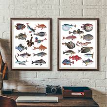 Carteles e impresiones de peces Vintage, diario de naturaleza, hoja de Collage, arte de pared Retro, pintura de lienzo, imágenes de pared, decoración del hogar 2024 - compra barato