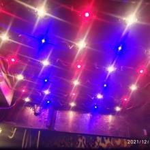 20pcs/lot 3W 3535 Royal Blue 450nm Deep Red 660nm Plant Grow LED light Led Emitter Light for indoor garden plant Grow Aquarium 2026 - customer review 20pcs/lot 3W 3535 Royal Blue 450nm Deep Red 660nm Plant Grow LED light Led Emitter Light for indoor garden plant Grow Aquarium 2026 - Thank you!!! The quality is excellent, several years we buy this product, under the lamps everything is growing, blooms and ties fruits