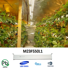 M23FS50L1 светодиодный светильник для теплиц 50W Фито лампы полный спектр для выращивания растений и рассады 2024 - купить недорого