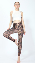 Новое поступление, женские укороченные штаны, сексуальные леопардовые Капри, женские узкие брюки, облегающие эластичные тренировочные штаны, женские леггинсы 2024 - купить недорого