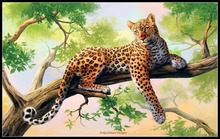 Embroidery Counted Cross Stitch Kits Needlework - Crafts 14 ct DMC Color DIY Arts Handmade Decor - Leopard 2024 - buy cheap