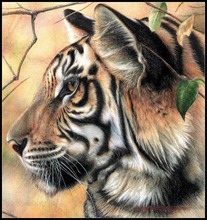 Embroidery Counted Cross Stitch Kits Needlework - Crafts 14 ct DMC DIY Arts Handmade Decor - Portrait of Tiger 2024 - buy cheap