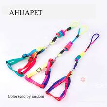 120cm Long Leash For Dogs Rope Harness For Chihuahua Accessories Adjustable Reinforcing Rainbow Nylon Lead Slip Neck Strap E 2024 - buy cheap