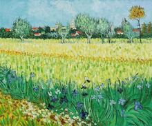 Pintura al óleo de alta calidad, lienzo de reproducciones, vista de Arles con Irises, pintura al óleo de Van Gogh, pintura pintada a mano 2024 - compra barato