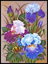 Counted Cross Stitch Kits Needlework Embroidery - Crafts 14 ct Aida DMC Color DIY Arts Handmade Home Decor - Iris and Wasp 2024 - buy cheap