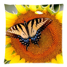 Butterfly Cushion Cover Home Car Decorative throw pillows Case New Arrival Custom Polyester Almofada Cover 2024 - buy cheap