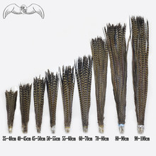Wholesale 20-100pcs 35-90cm Natural Ringneck Pheasant Tail Feather Decoration Feather For Carnival Party Samba Dancer DIY Crafts 2024 - buy cheap
