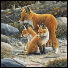 Fox Family-Kits de punto de cruz, bordado de costura hecha a mano, 14 ct, Aida, conjuntos de punto de cruz 2024 - compra barato