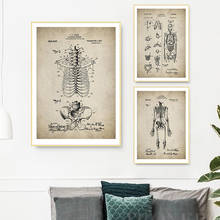Pósteres e impresiones médicas de Anatomía Humana Vintage, arte de pared de charol de esqueleto, pintura en lienzo, imágenes de médicos, decoración de pared de oficina 2024 - compra barato