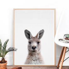 Cartel de fotografía de animales australianos, lienzo impreso, pintura artística de pared de animales para guardería, imagen nórdica, decoración de habitación de bebé y niños 2024 - compra barato