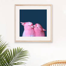 Pôster artístico para parede da galeria, pintura de pássaro rosa da austrália, arte de parede, pintura tropical, imagem de decoração para sala de estar 2024 - compre barato