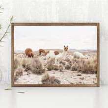 Póster de foto de Animal de Alpaca para guardería, arte de pared de granja, Impresión de lienzo, imagen de Llama, decoración nórdica, pintura para sala de estar 2024 - compra barato