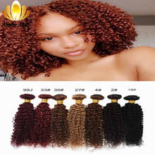 Aliafee HAIR Brazilian Kinky Curly Hair 100% Human Hair Weave 3 Bundles Hair 99J#/33#/30#/27#/4#/2# Non-Remy Hair Bundles 2024 - buy cheap